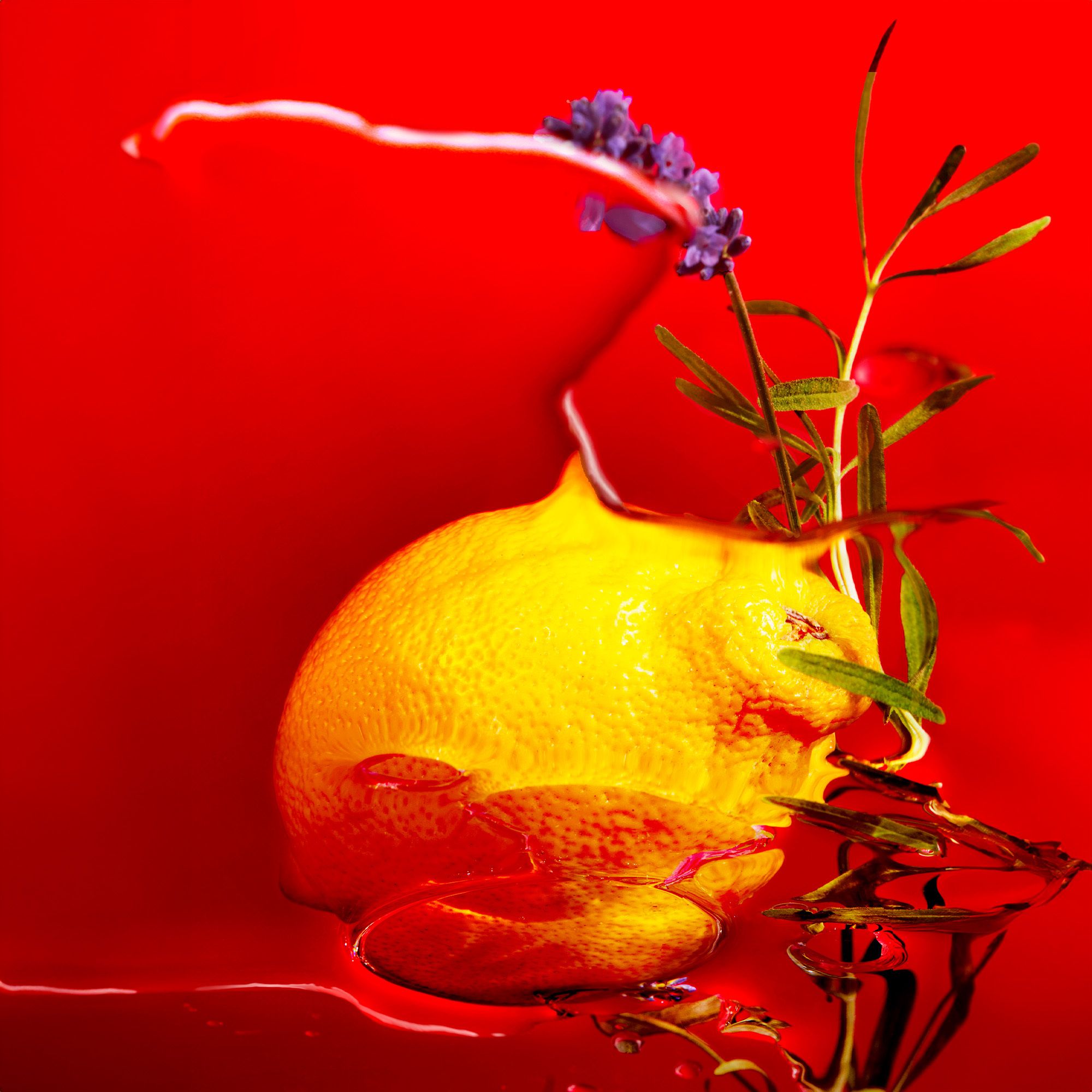 Citron, lavande et branche dans un liquide rouge. Réflexions visibles.