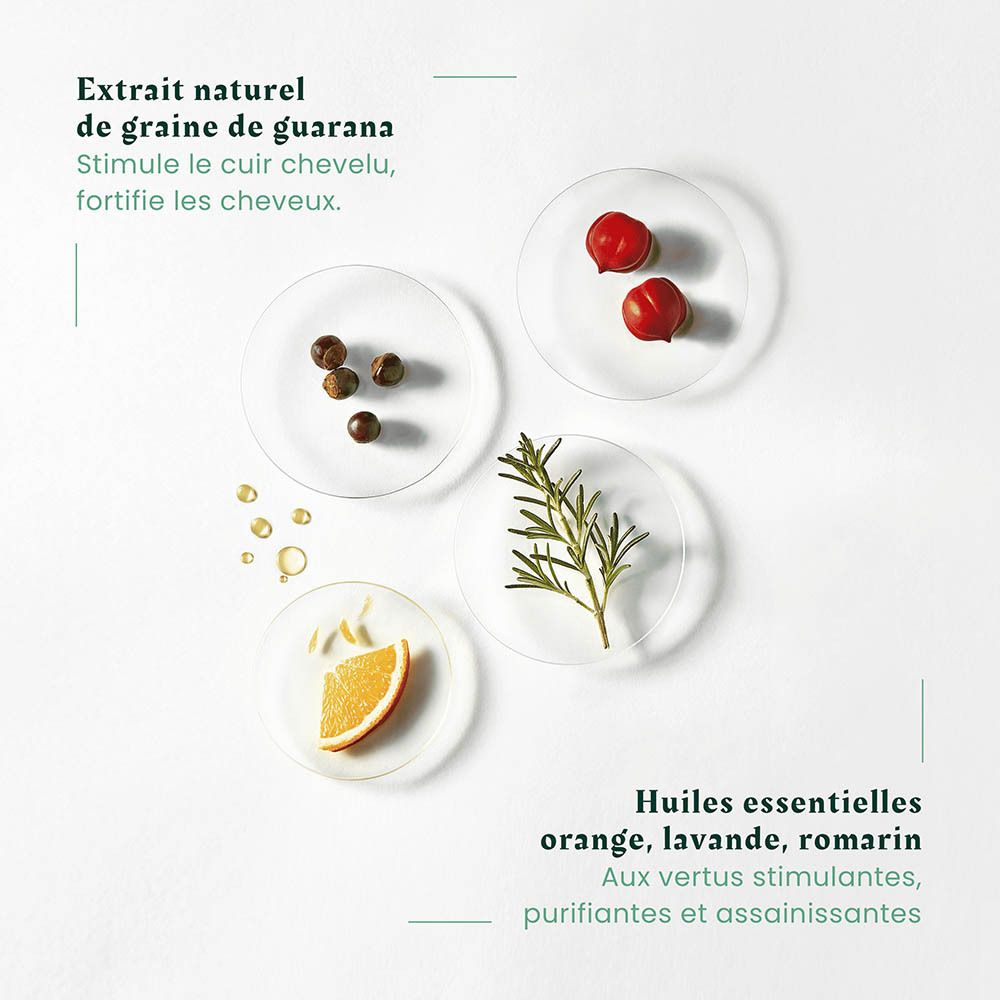 Guarana-Samen, Beeren, Rosmarinzweig, Orangenscheibe und Öl auf Petrischalen.