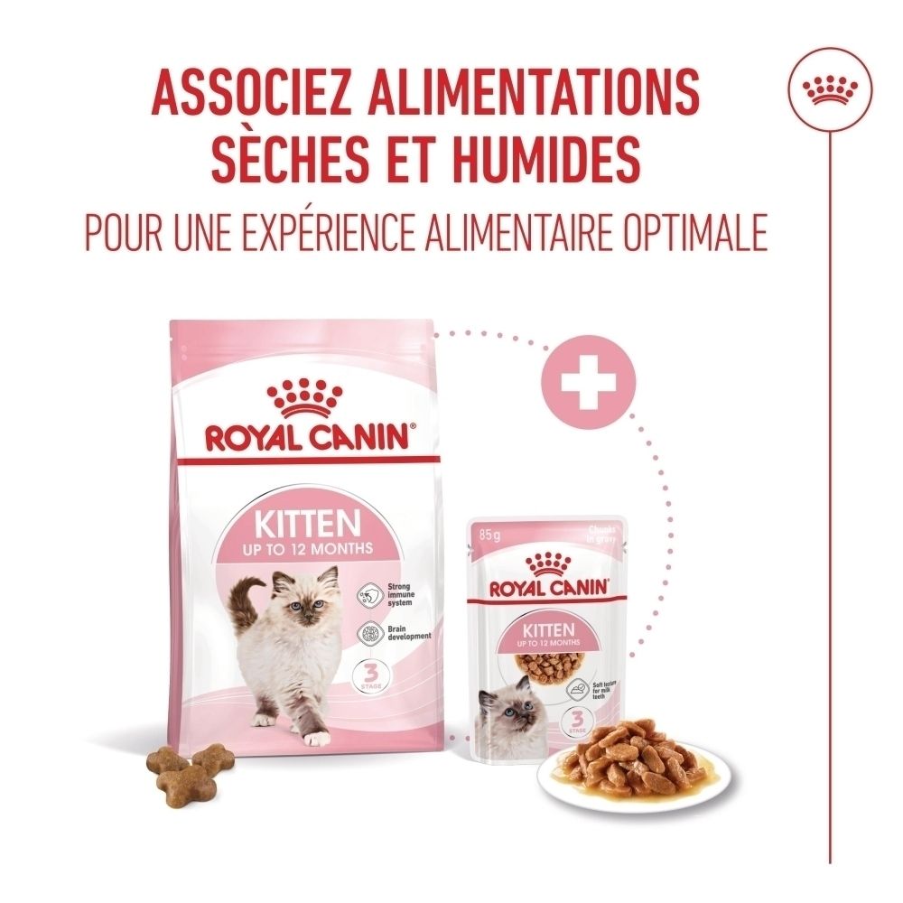 Royal Canin Kitten Trocken- und Nassfutter für Katzen bis 12 Monate.