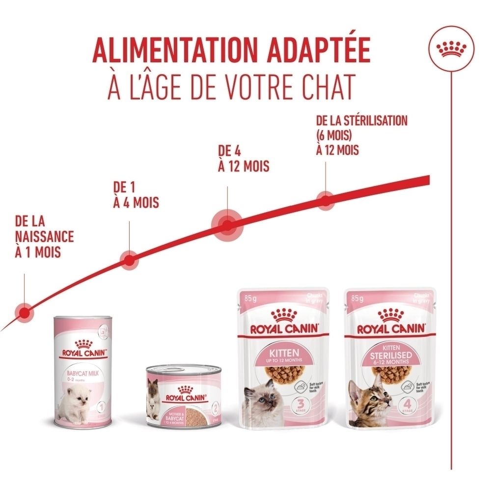 Grafik mit Royal Canin Katzenfutter für verschiedene Altersstufen, von Geburt bis 12 Monate.
