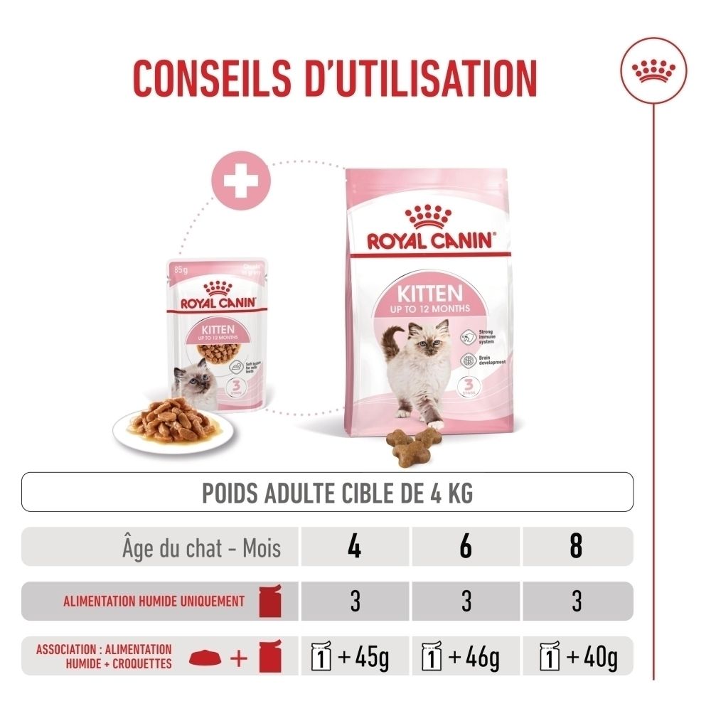 Royal Canin Kitten Futterpackung und Schale mit Futter. Tabelle zeigt Fütterungsempfehlungen.