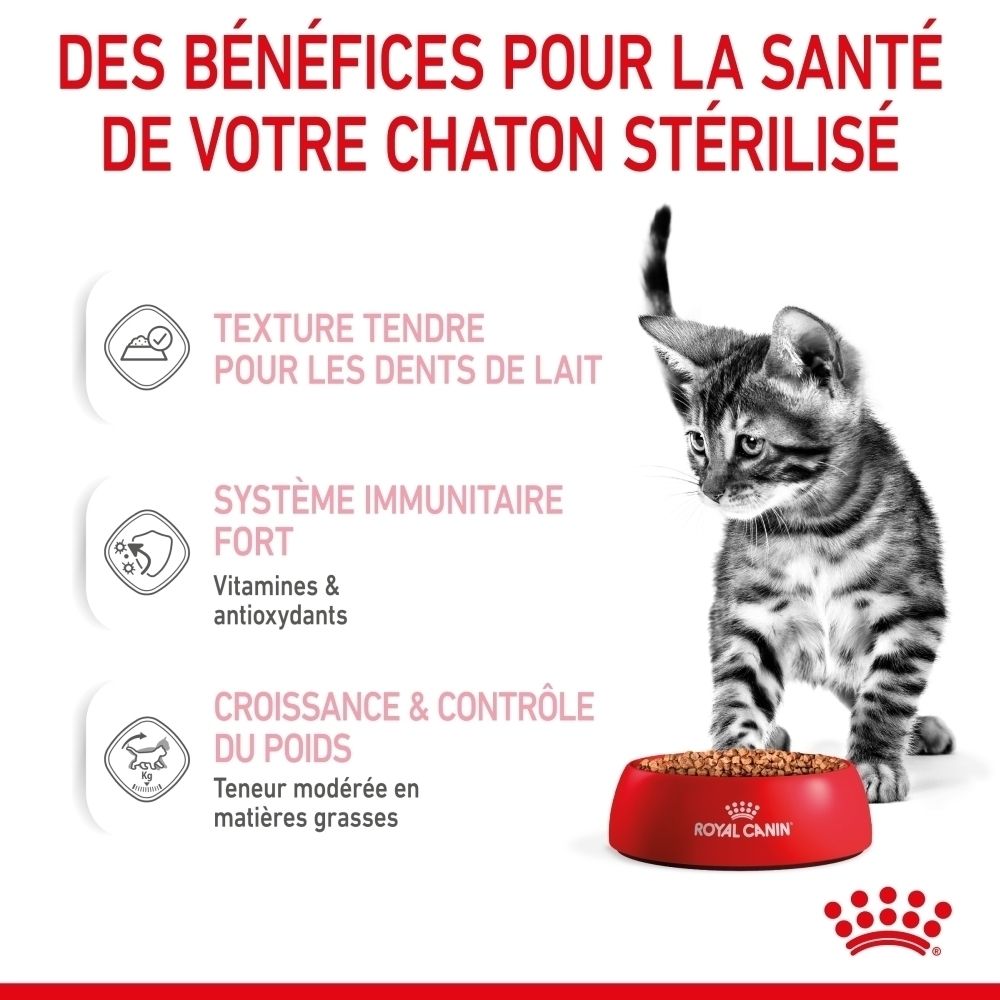 Ein Kätzchen blickt auf eine rote Futterschale mit Royal Canin Futter. Text hebt Vorteile für steriliserte Katzen hervor.