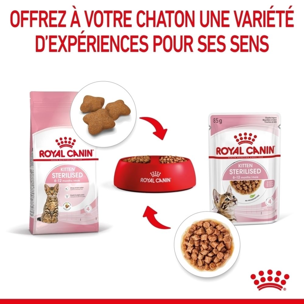 Royal Canin Kitten Sterilised Trockenfutter und Nassfutter in einer roten Schale.