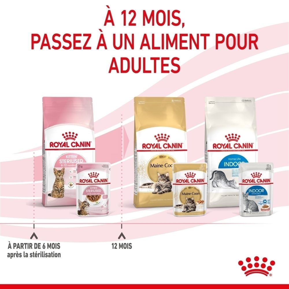 Royal Canin Katzenfutter: Sterilised, Maine Coon, Indoor. Verschiedene Packungsgrößen.