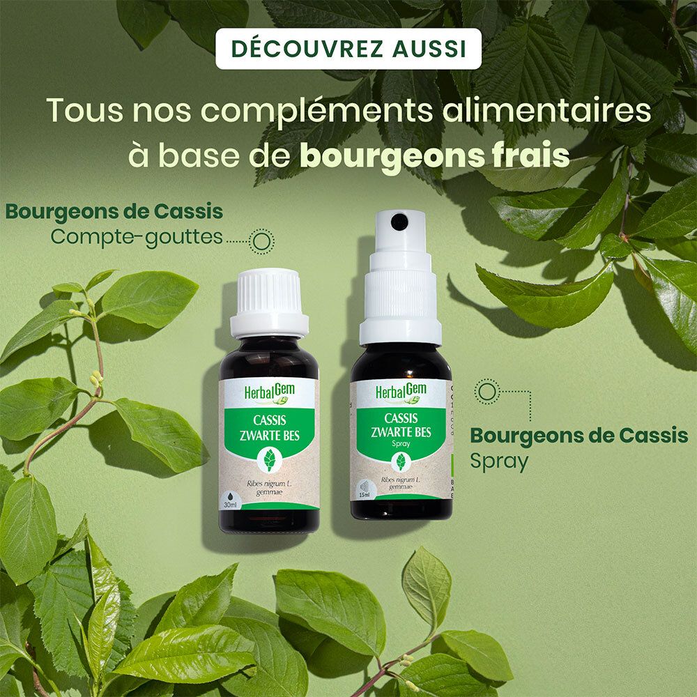 Zwei Flaschen: Cassis Zwarte Bes und Cassis Zwarte Bes Spray. Text: Bourgeons de Cassis.