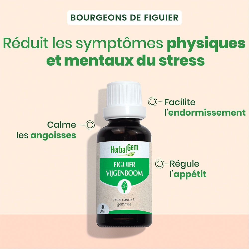 HERBALGEM - Figuier Bio - Complément Alimentaire  - Extrait De Bourgeon Frais - Pour Digestion -  - 30 ml