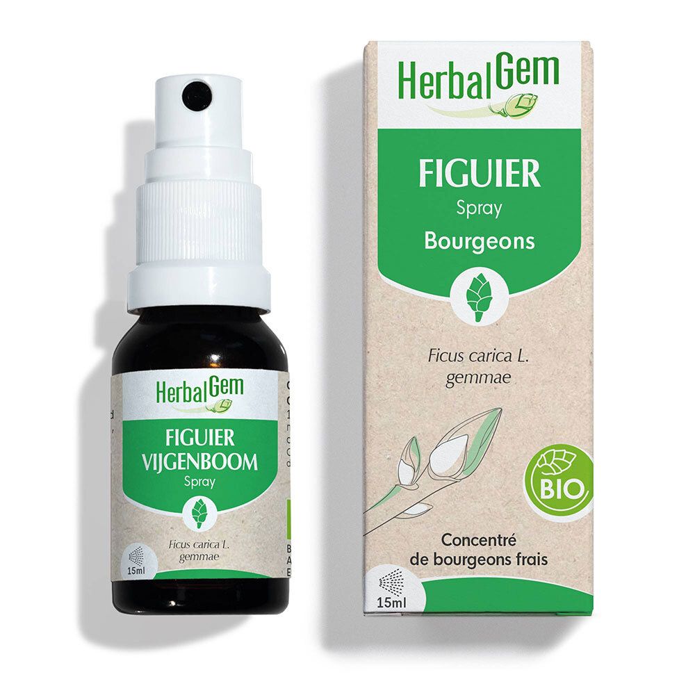 HERBALGEM - Feigenbaum Bio - Nahrungsergänzungsmittel - Frischer Knospen Extrakt - Für die Verdauung - - 15 ml