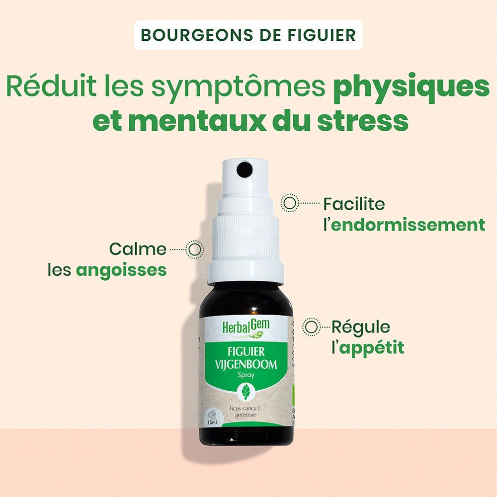 HERBALGEM - Feigenbaum Bio - Nahrungsergänzungsmittel - Frischer Knospen Extrakt - Für die Verdauung - - 15 ml
