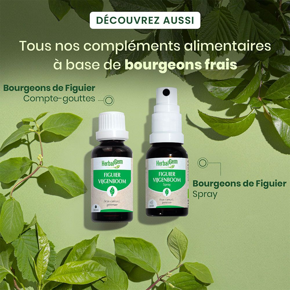 HERBALGEM - Feigenbaum Bio - Nahrungsergänzungsmittel - Frischer Knospen Extrakt - Für die Verdauung - - 15 ml