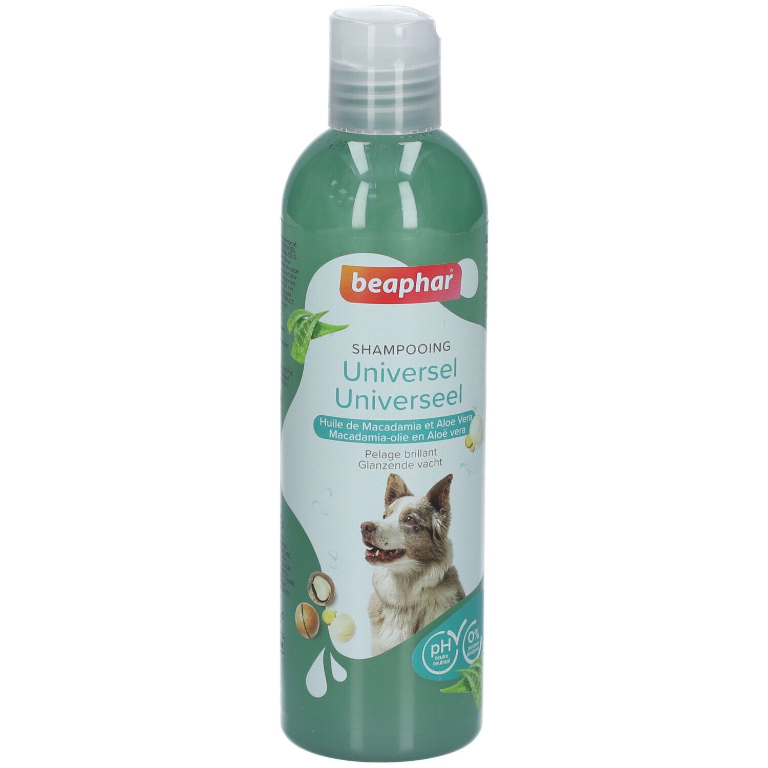 Grüne Shampoo-Flasche mit weißem Deckel. Aufschrift: Beaphar Shampooing Universel. Abbildung eines Hundes.