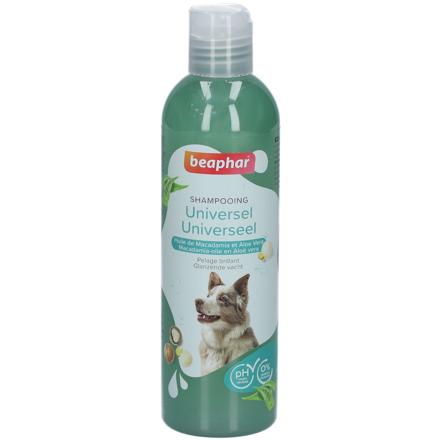 Grüne Shampoo-Flasche mit weißem Deckel. Aufschrift: Beaphar Shampooing Universel. Abbildung eines Hundes.