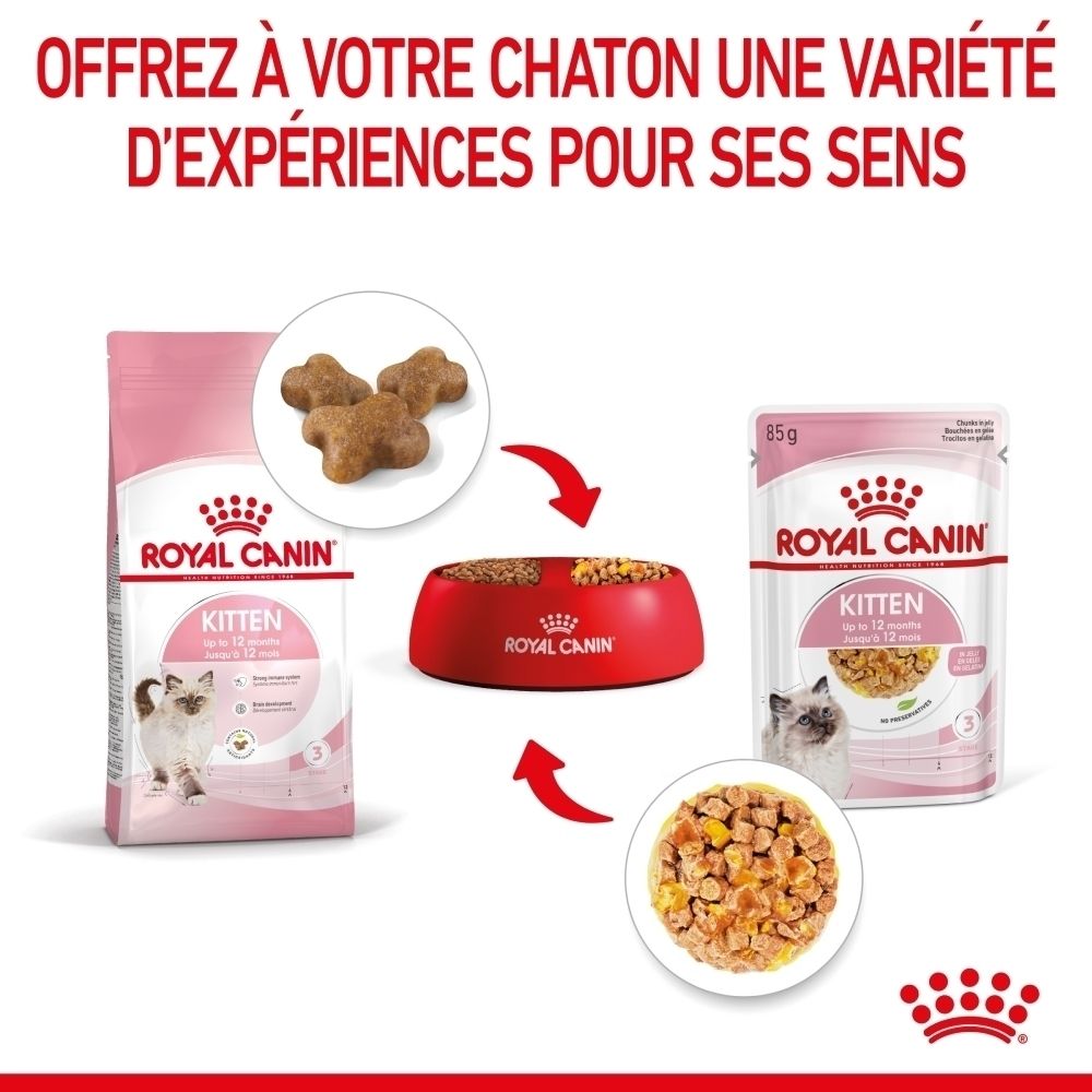 Royal Canin Kitten Futter: Trockenfutter-Beutel, Trockenfutter-Kroketten, Futterschale und Nassfutter-Beutel.