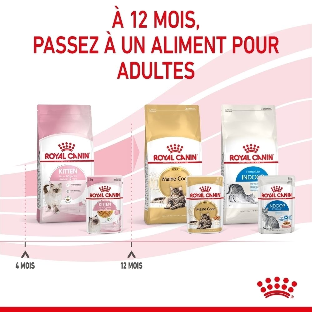 Royal Canin Katzenfutter: Kitten-, Maine Coon- und Indoor-Sorten in verschiedenen Packungsgrößen.