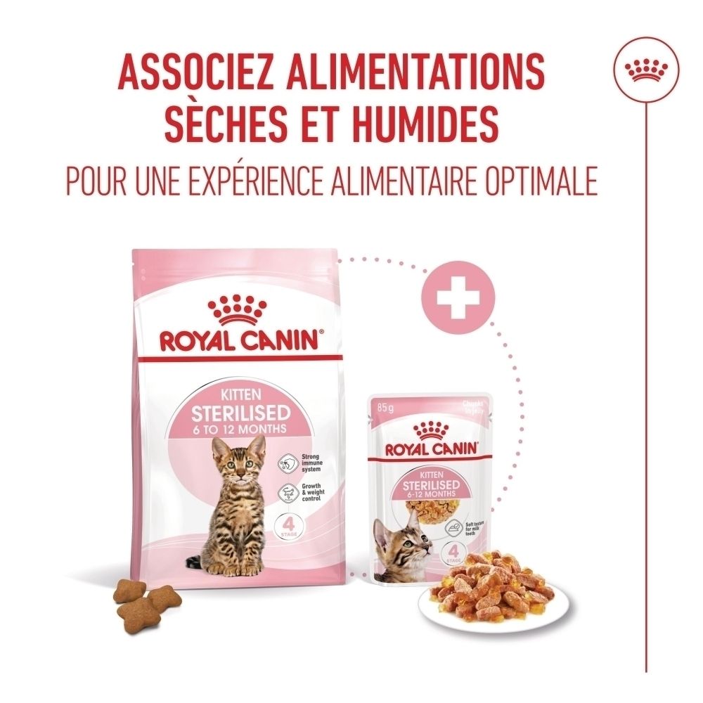 Royal Canin Kitten Sterilised Trockenfutter und Nassfutter für Katzen von 6-12 Monaten.