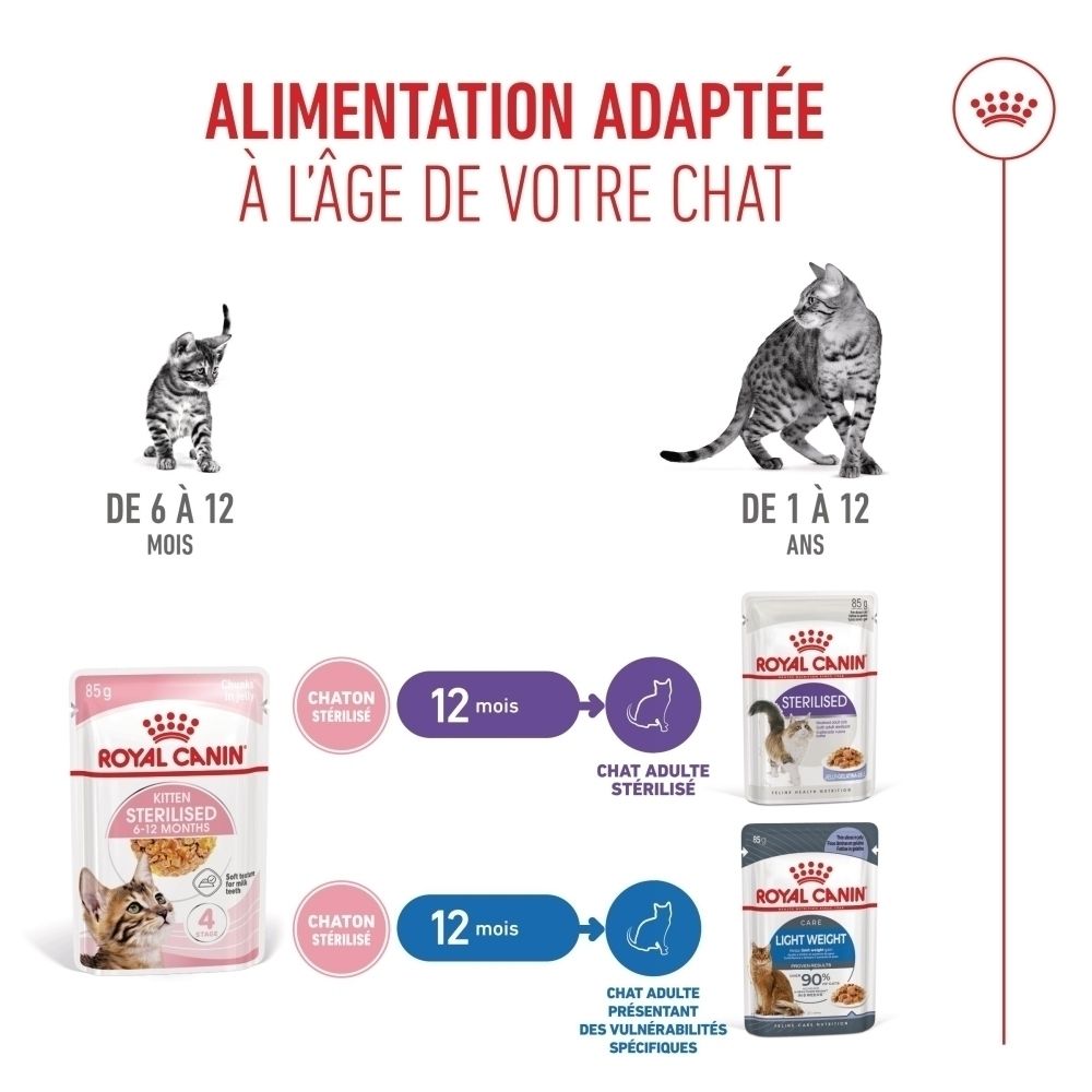 Royal Canin Futterempfehlungen für Katzen nach Alter und Sterilisation.