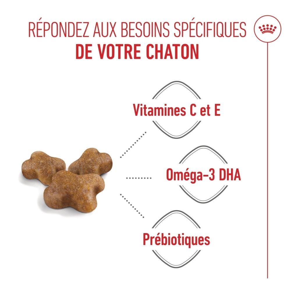 Katzenfutter-Kroketten mit Icons für Vitamine C & E, Omega-3 DHA und Präbiotika.