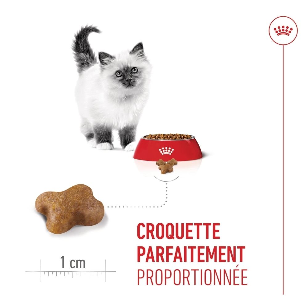 Royal Canin Kitten Futterbeutel mit Bild einer Katze, Futterschale und einzelner Kroketten.