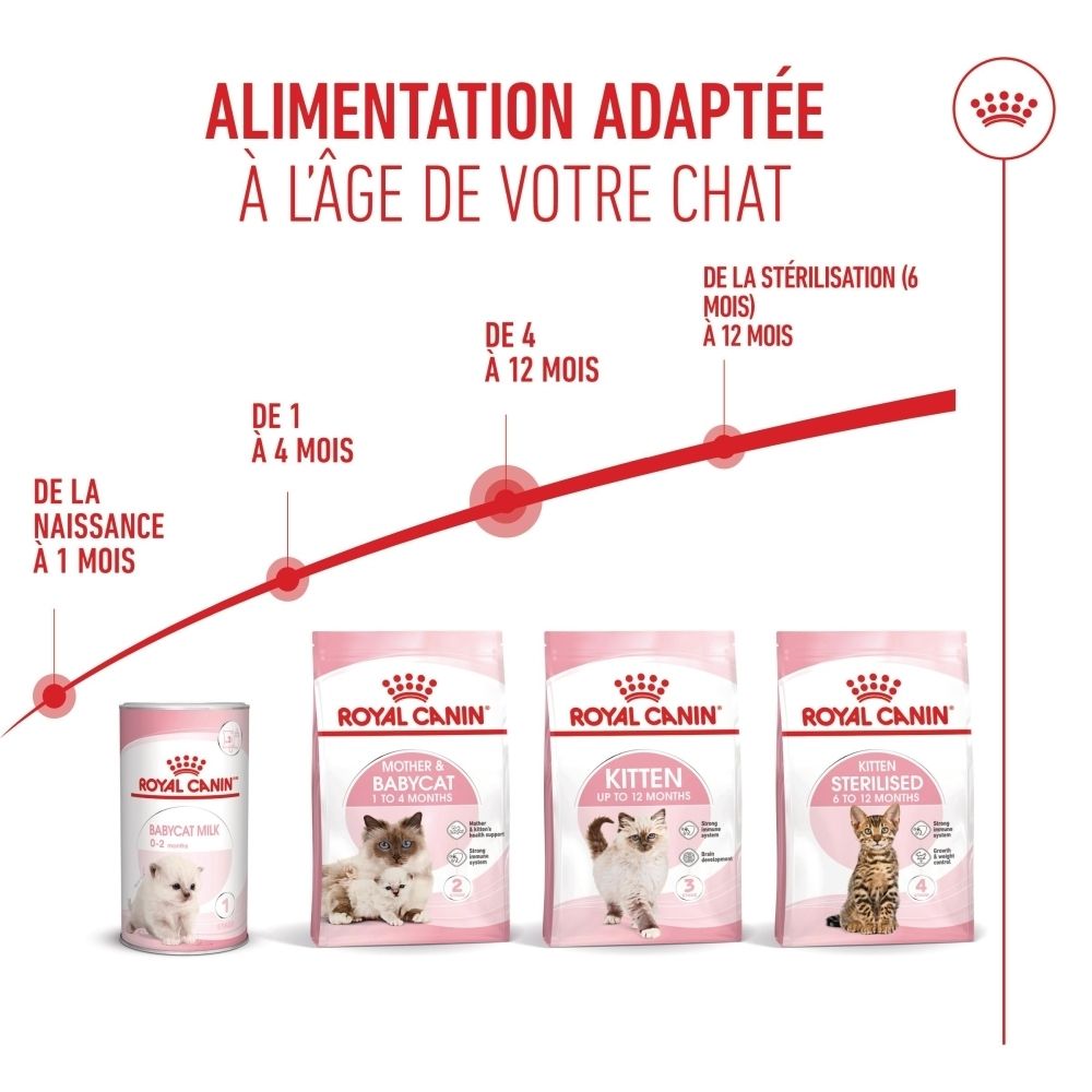 Royal Canin Kitten Futter für Katzen bis 12 Monate. Stärkt das Immunsystem und die Gehirnentwicklung.