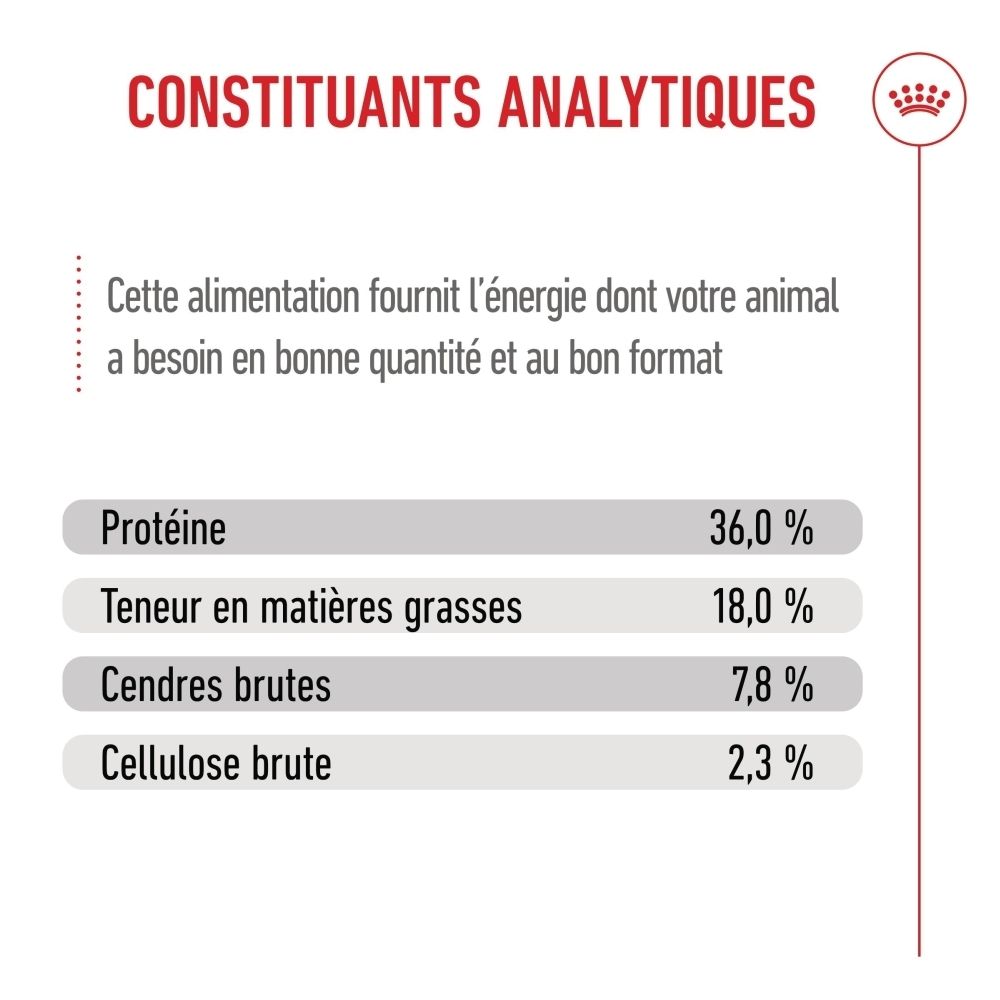 Royal Canin Kitten Futter: Stärkt Immunsystem, Gehirnentwicklung, Darmflora. Für Katzen bis 12 Monate.