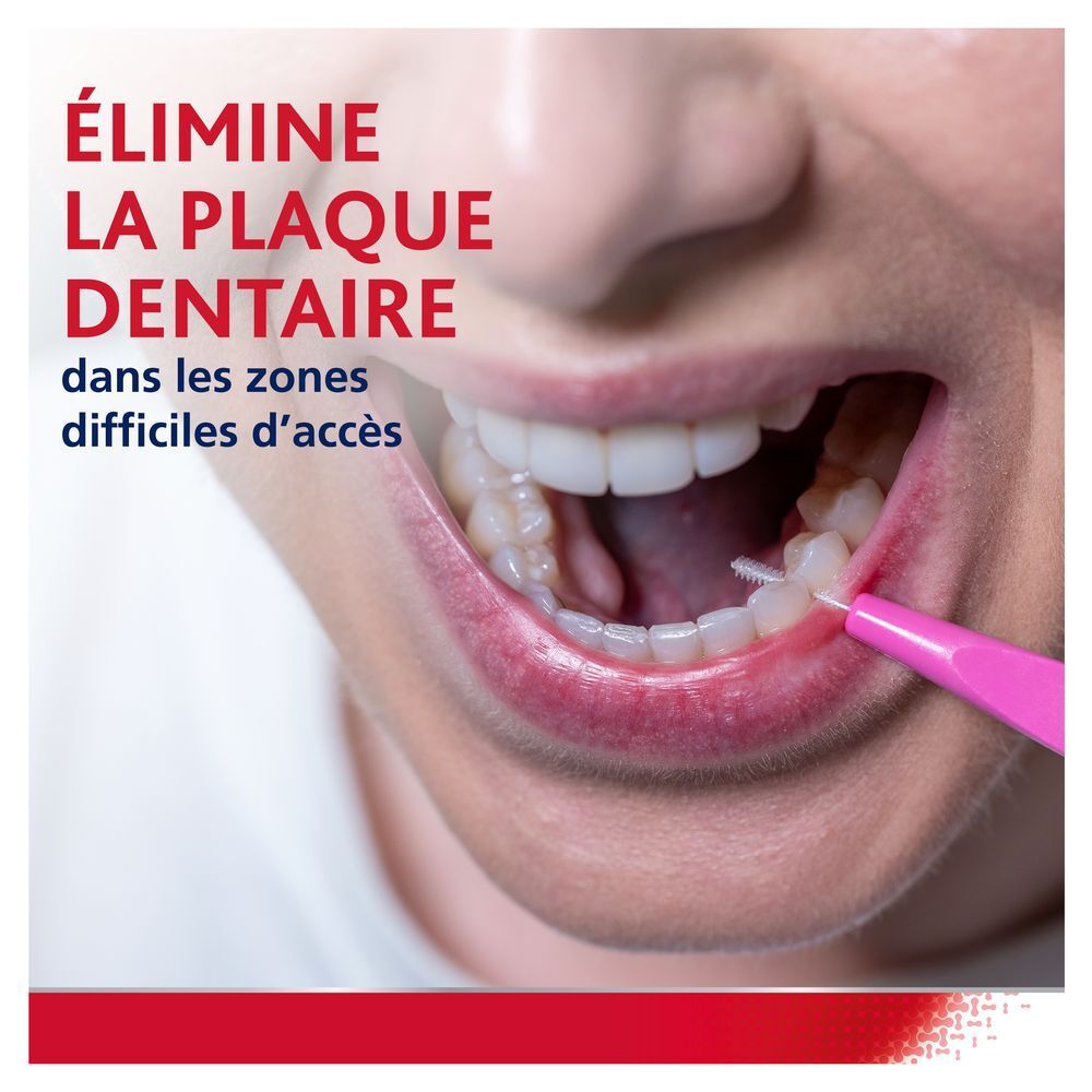 Médecin avec modèle dentaire. Texte : Conçu par nos experts des gencives, cliniquement prouvé.