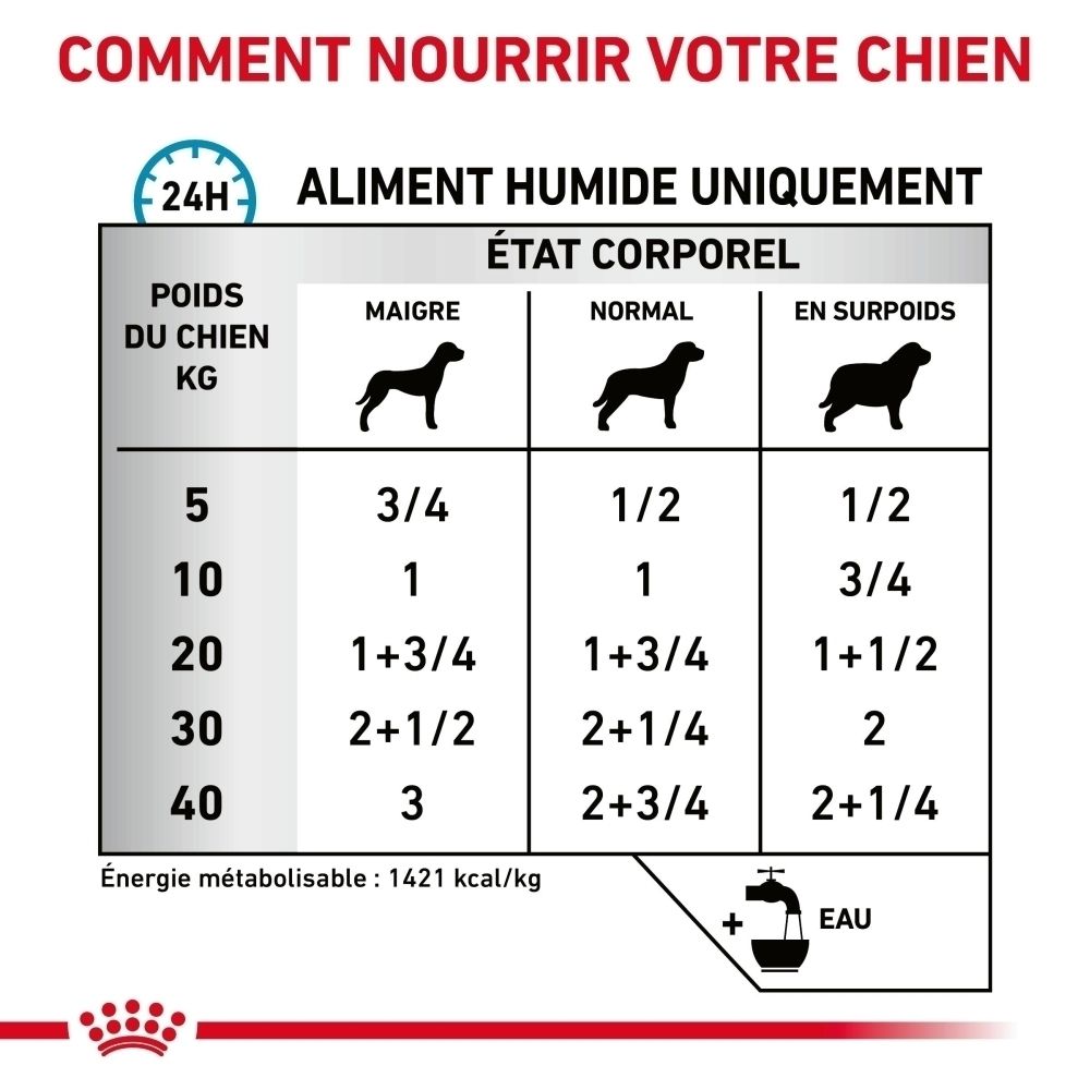 Fütterungstabelle für Hunde: Gewicht, Körperzustand (mager, normal, übergewichtig) und Futtermenge in Tassen. Enthält Kalorienangabe.