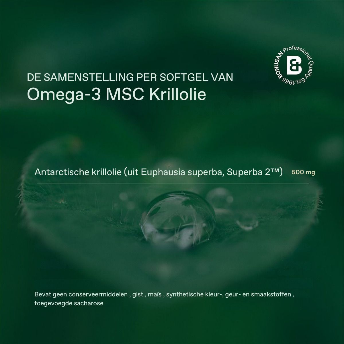 Zusammensetzung pro Softgel von Omega-3 MSC Krillöl. Antarktischer Krill. 500 mg.