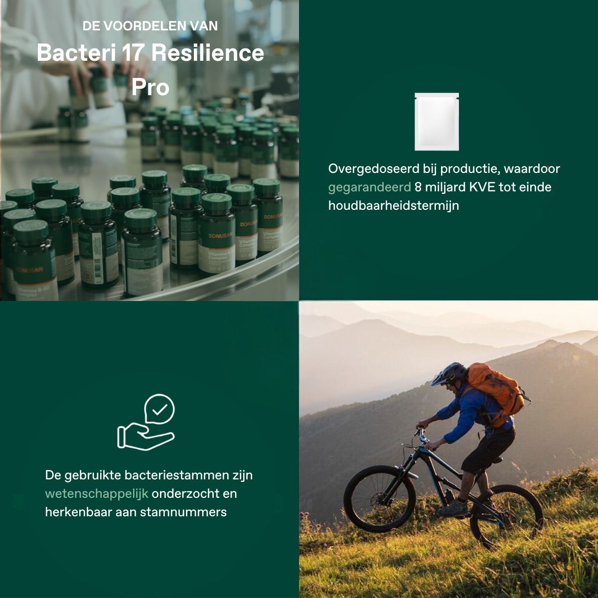 Bacteri 17 Resilience Pro. Tabletten in Flaschen. 8 Milliarden KVE garantiert. Wissenschaftlich untersuchte Bakterienstämme.