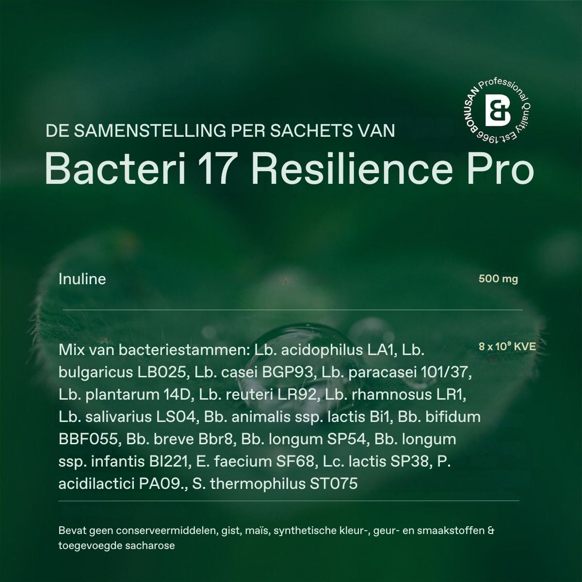 Bacteri 17 Resilience Pro. Einzelnes Sachet. Enthält Inulin und Bakterienstämme. 8x10^9 KVE.