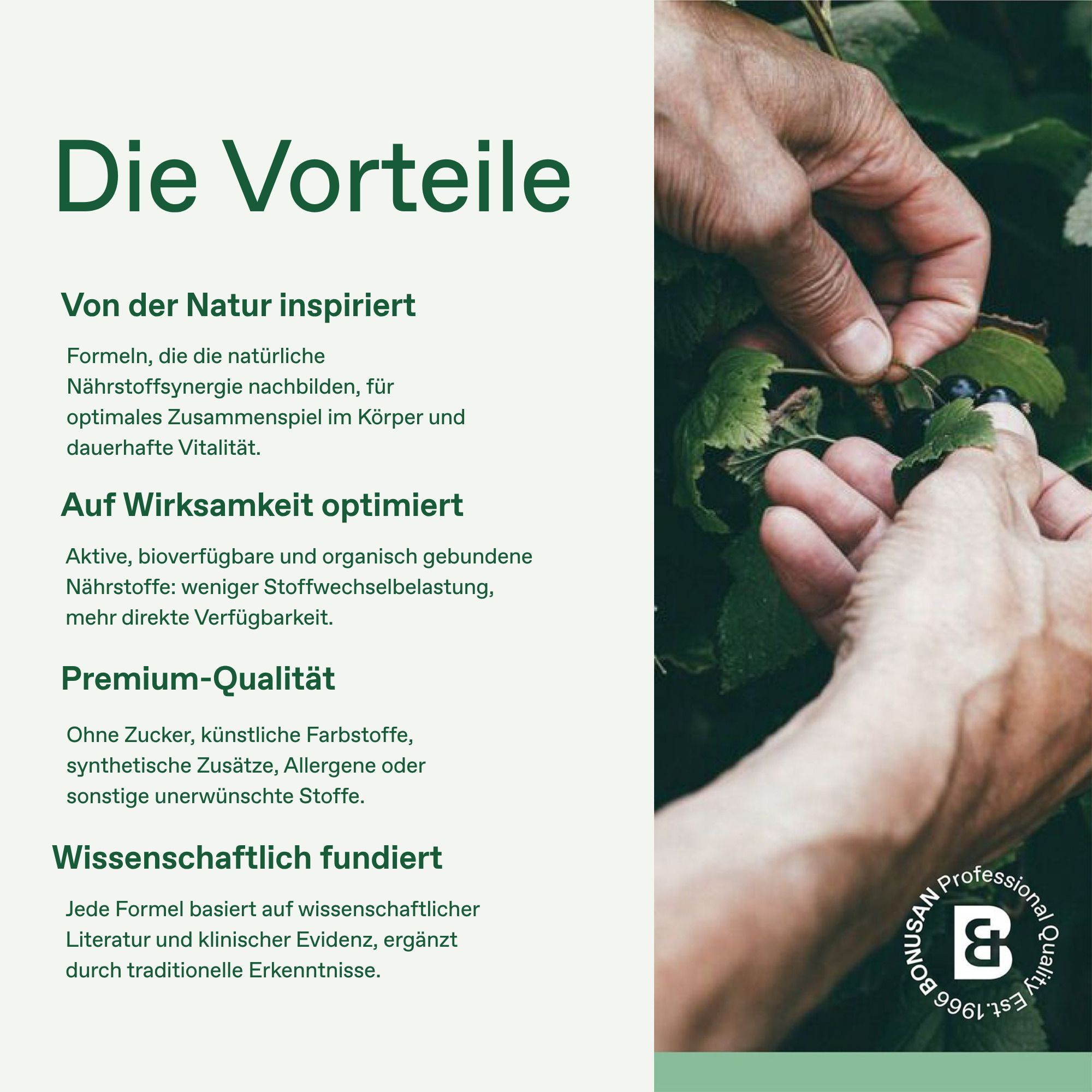 Hände pflücken Beeren von einem Strauch. BONUSAN Logo und Text über Vorteile von Nahrungsergänzungsmitteln.