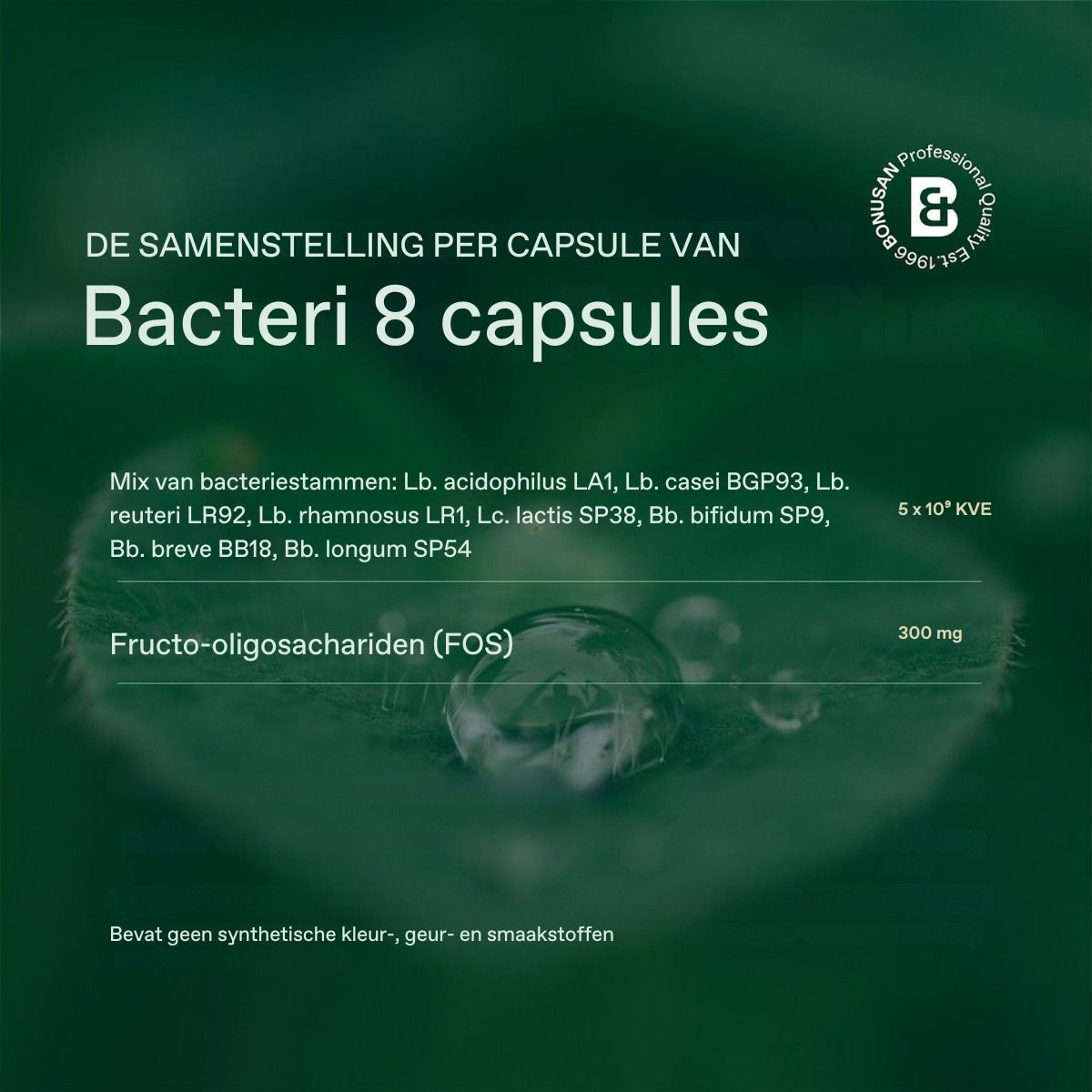 Bacteri 8 Kapseln. Zusammensetzung pro Kapsel. Inhaltsstoffe auf einem Blatt. Keine synthetischen Farb- und Aromastoffe.