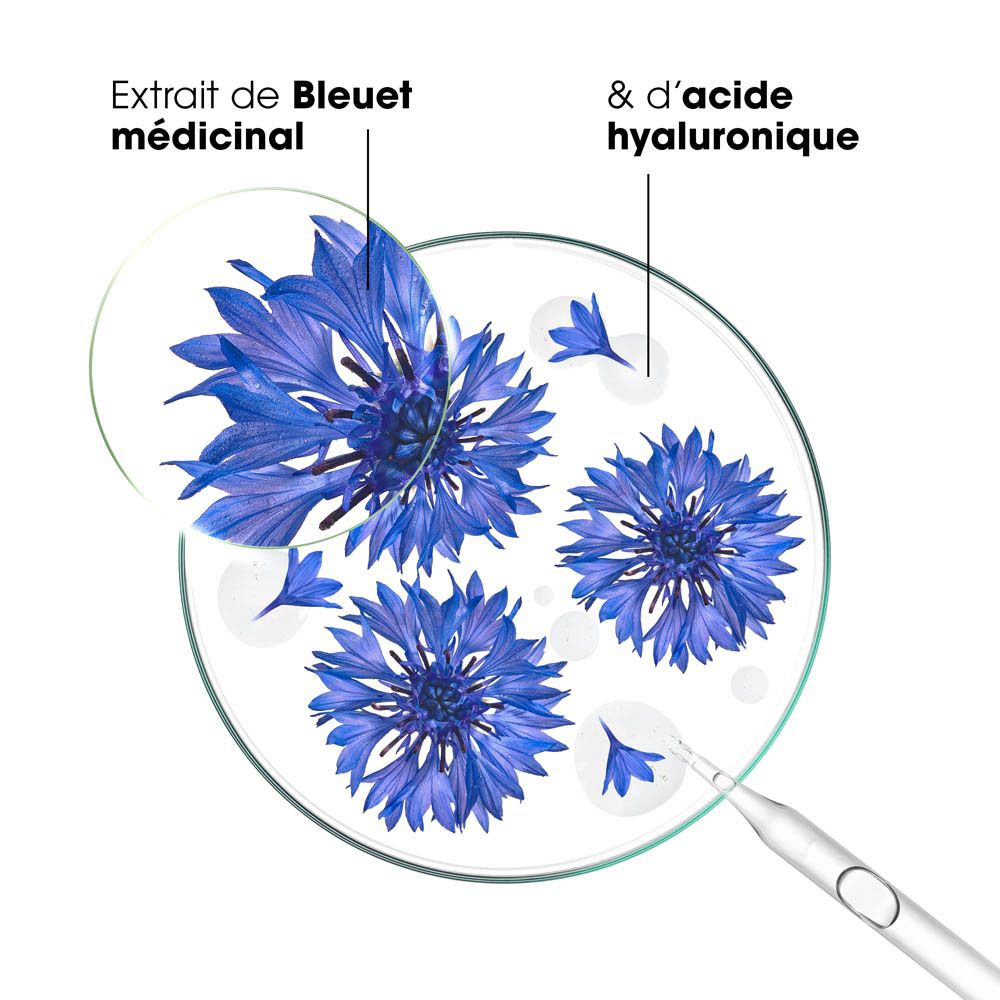 Fleurs de bleuet et extrait. Texte: Extrait de bleuet & acide hyaluronique.