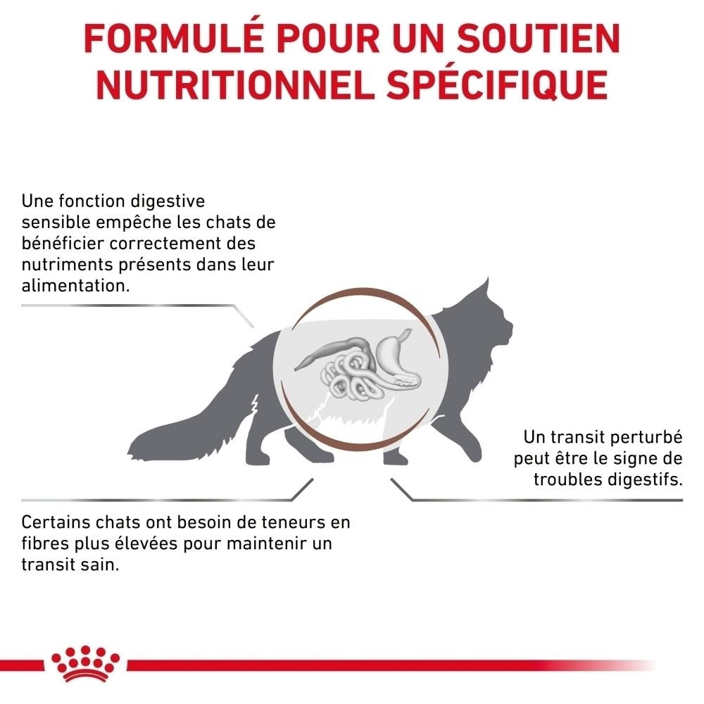 Illustration einer Katze mit Fokus auf das Verdauungssystem. Zeigt Darmstrukturen und erklärt Verdauungsprobleme.