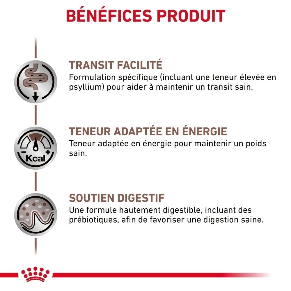 Infografik zu Produktvorteilen: erleichterter Transit, angepasster Energiegehalt, Verdauungsunterstützung.