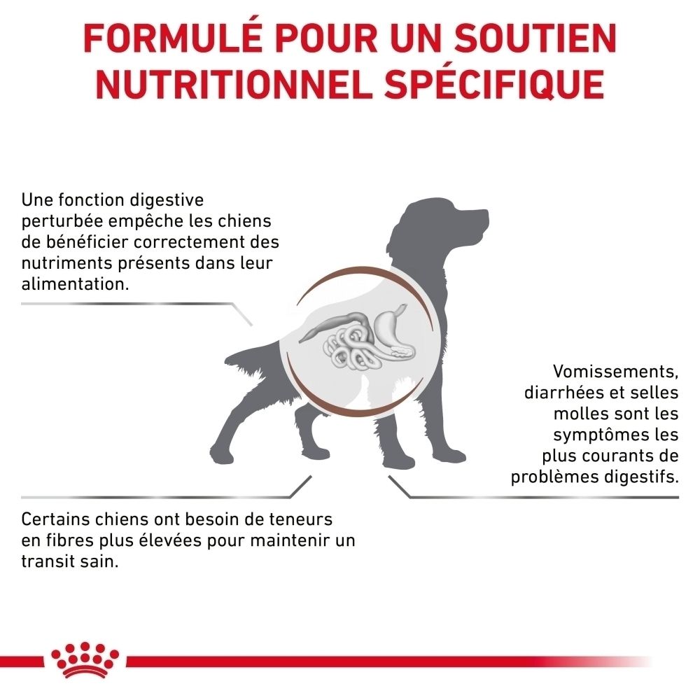 Illustration eines Hundes mit Fokus auf das Verdauungssystem, das Verdauungsprobleme wie Erbrechen und Durchfall zeigt.