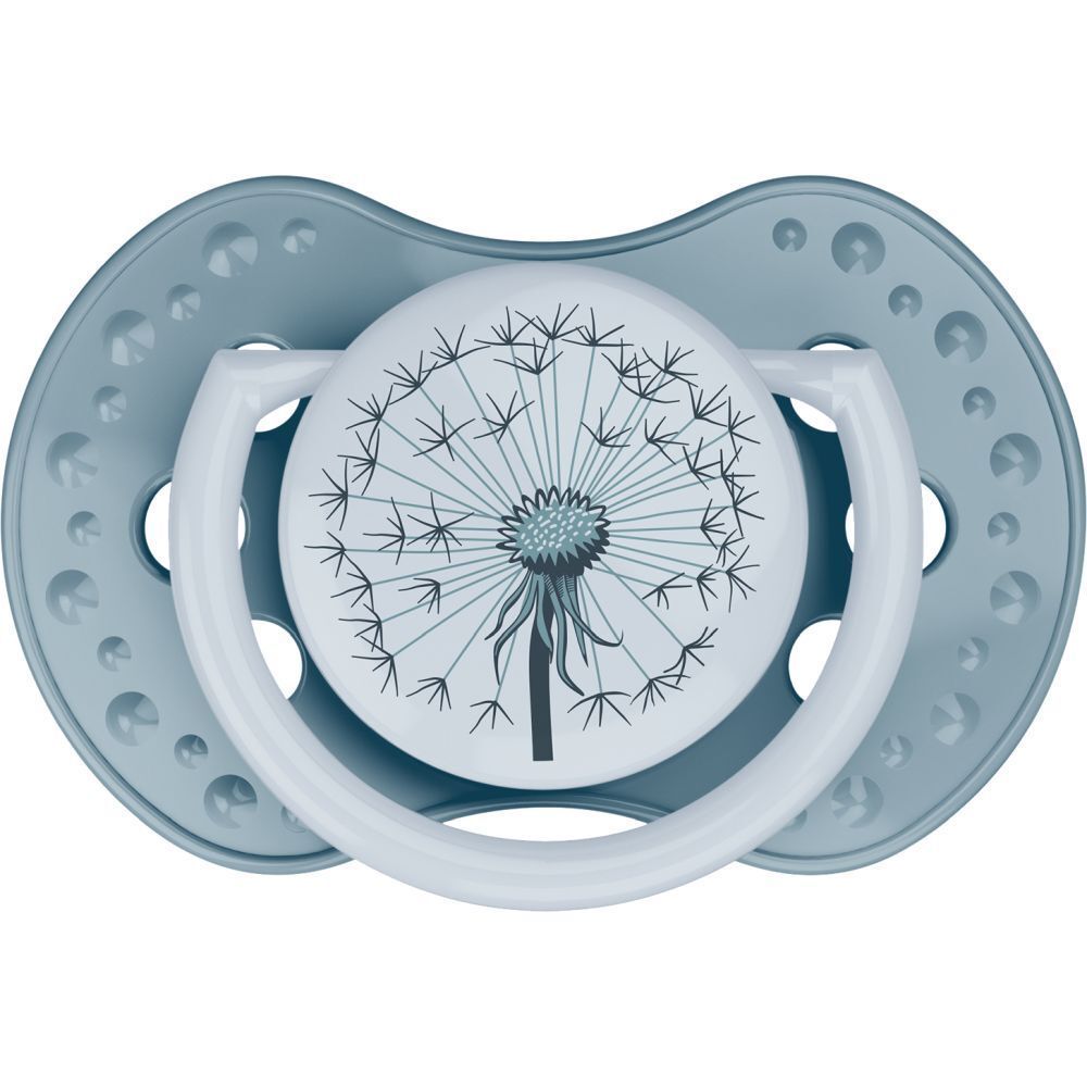 Difrax Sucette Dynamic Botanic Blau - Grün 18m+