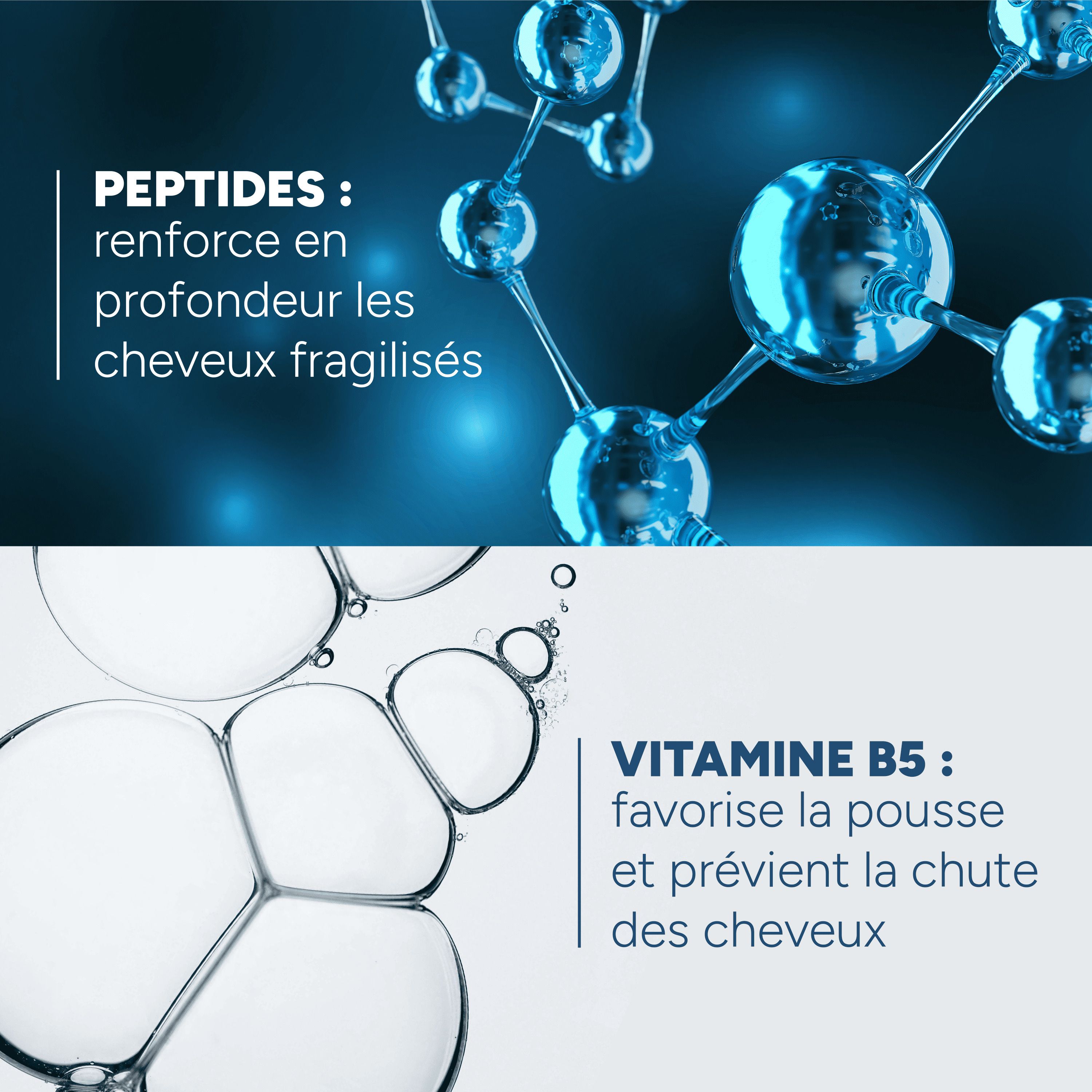 Structure moléculaire et formation de mousse. Texte: peptides renforcent, vitamine B5 favorise la pousse.
