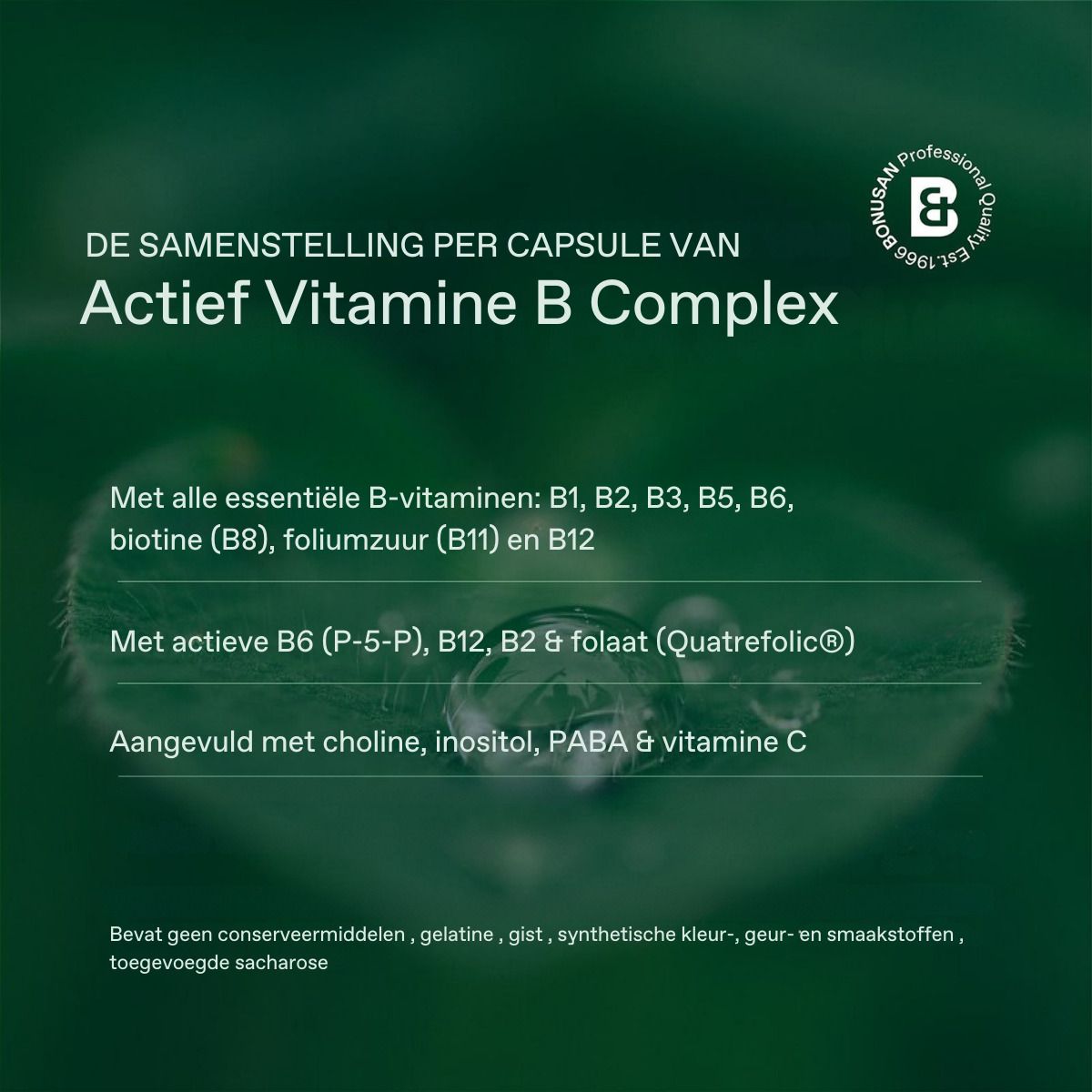 Zusammensetzung pro Kapsel: B-Vitamine, B1, B2, B3, B5, B6, Biotin (B8), Foliumzuur (B11) und B12. Mit Cholin, Inositol, PABA.