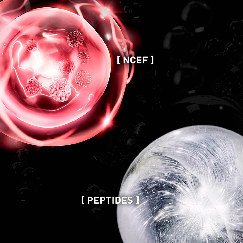 Deux cellules avec texte. Texte: NCEF et Peptides. Fond noir.