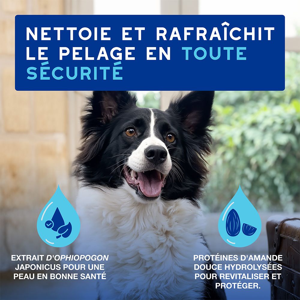 Hund mit Text: Reinigt und erfrischt das Fell sicher.