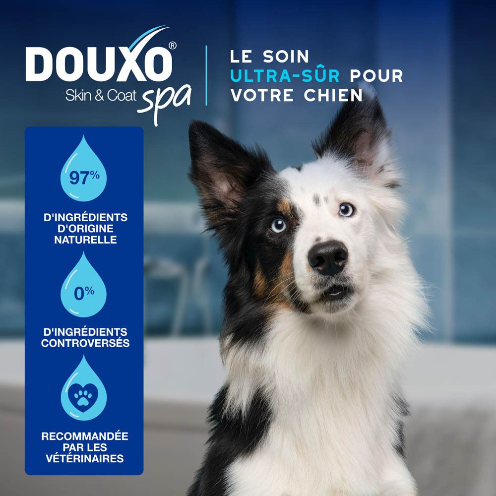 Chien avec texte : Le soin ultra-sûr pour votre chien.