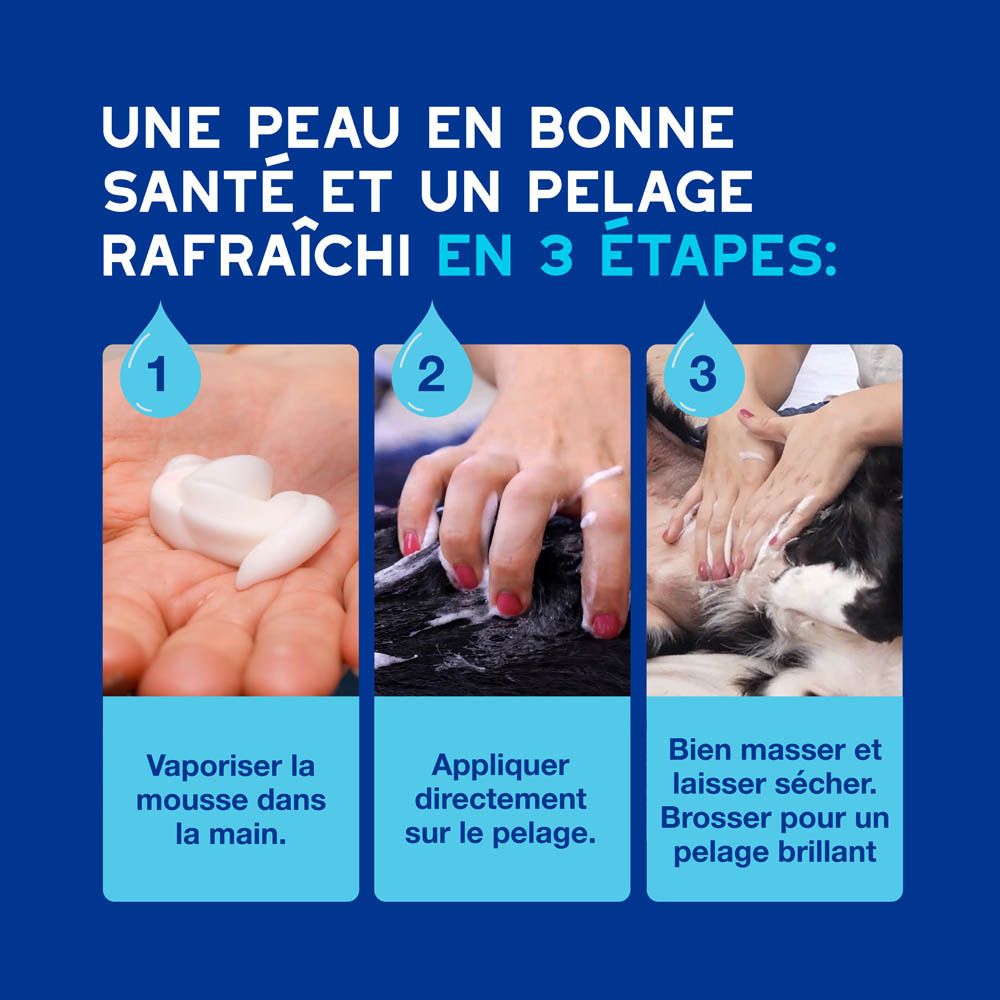 Trois étapes pour le soin du pelage : vaporiser la mousse, appliquer, masser.
