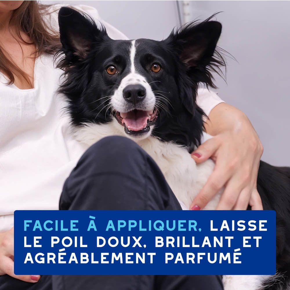 Chien avec texte : Facile à appliquer, laisse le poil doux et brillant.