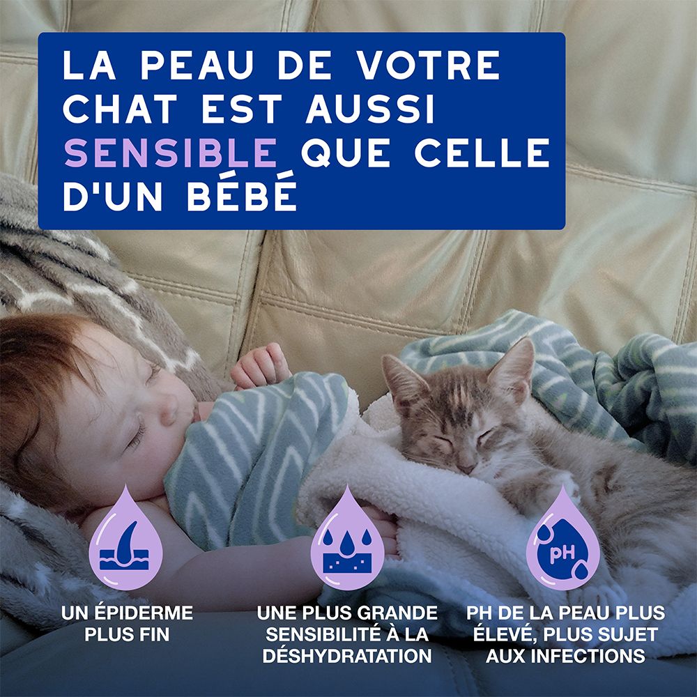Arrière d'un flacon de mousse Douxo Spa avec informations produit.