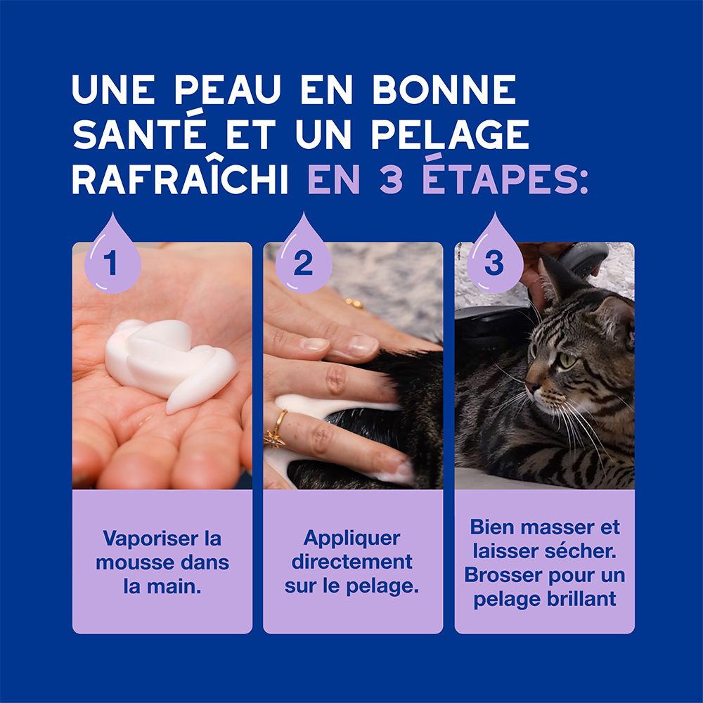 Arrière d'un flacon de mousse Douxo Spa avec détails.