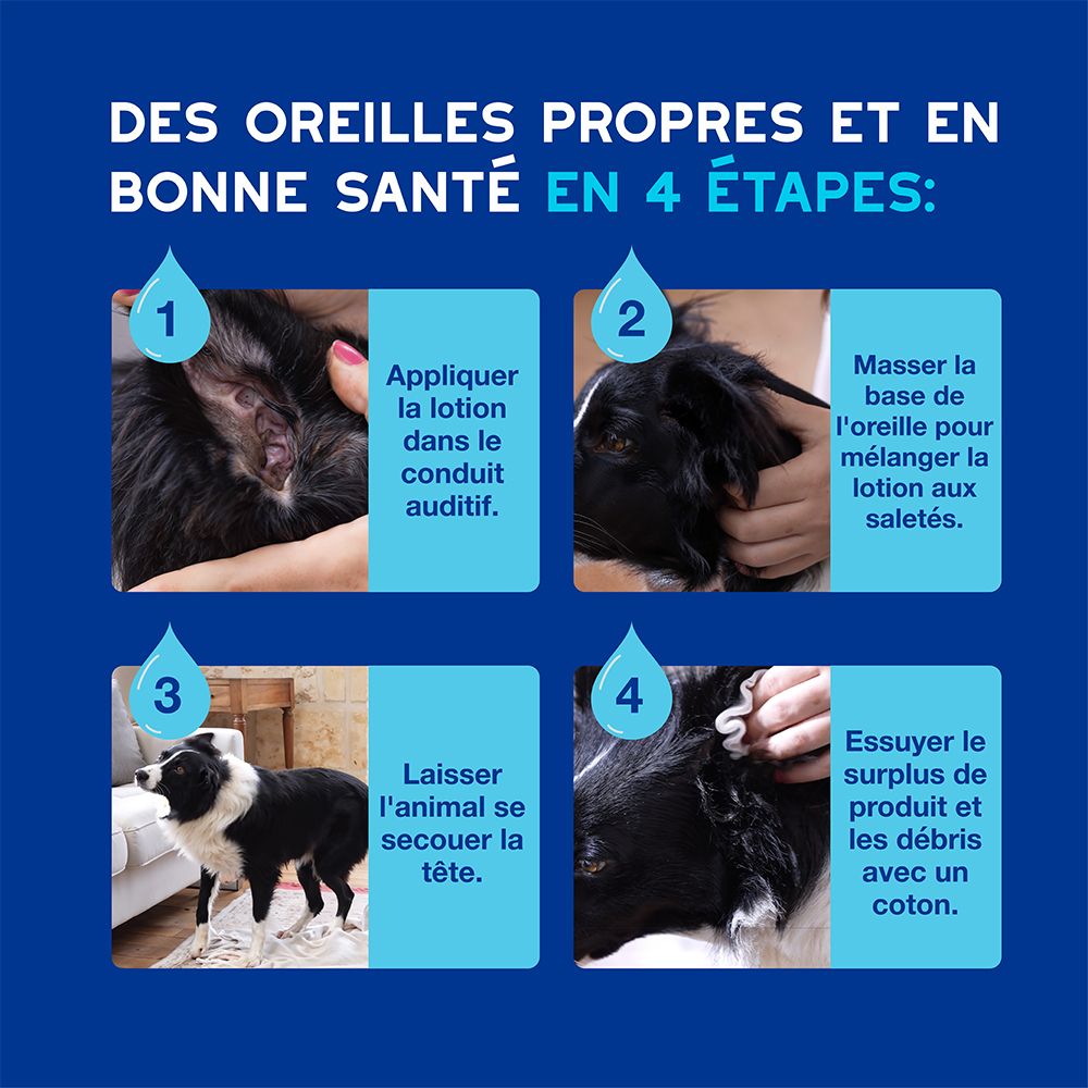 Chien avec gouttes. Texte: Nettoie en toute sécurité et en douceur l'oreille.