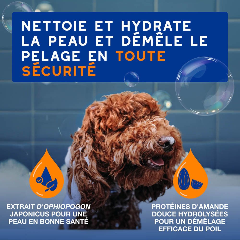 La peau du chien aussi sensible que celle d'un bébé. Chien et bébé dans un bain moussant.