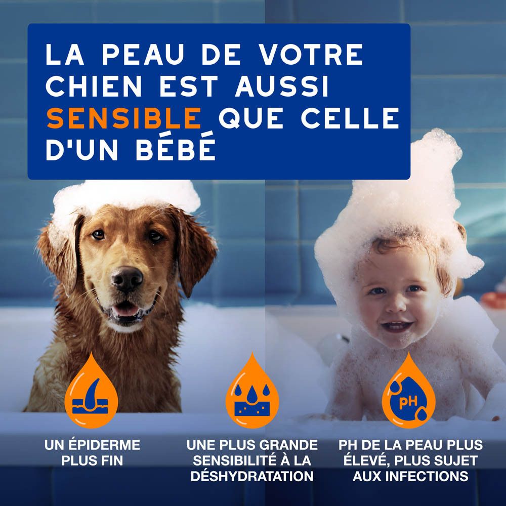 DOUXO Skin & Coat Spa. Shampooing ultra-sûr pour votre chien. Chien avec une serviette.