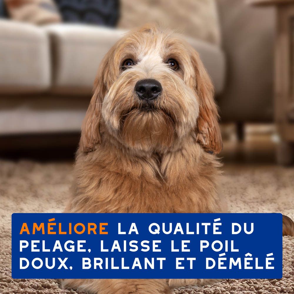 Une routine de soin complète DOUXO Skin & Coat Spa. Produits sur fond bleu.