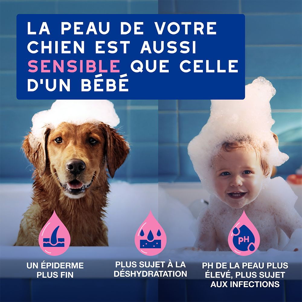 Arrière d'une bouteille de shampooing Douxo Spa avec informations détaillées sur le produit.
