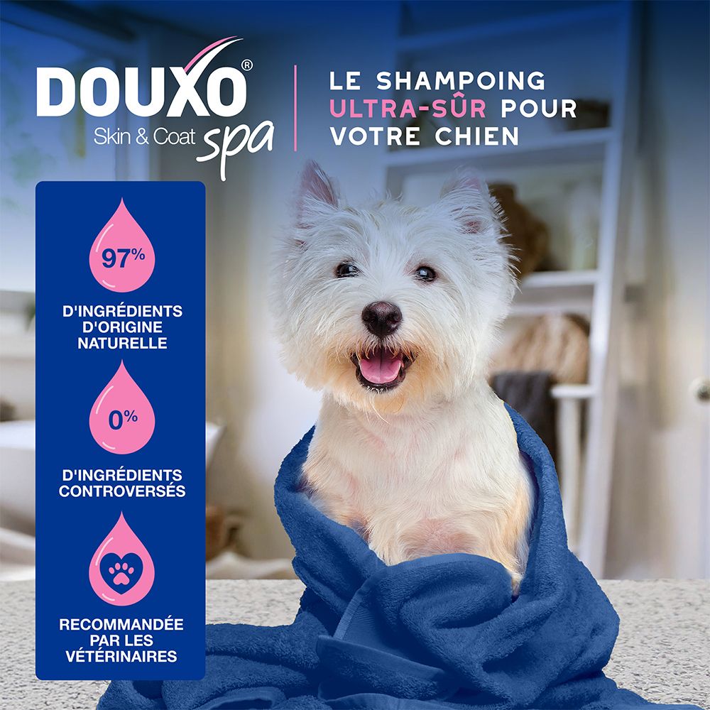 Bouteille de shampooing Douxo Spa Ultra-safe avec pompe, 250ml.